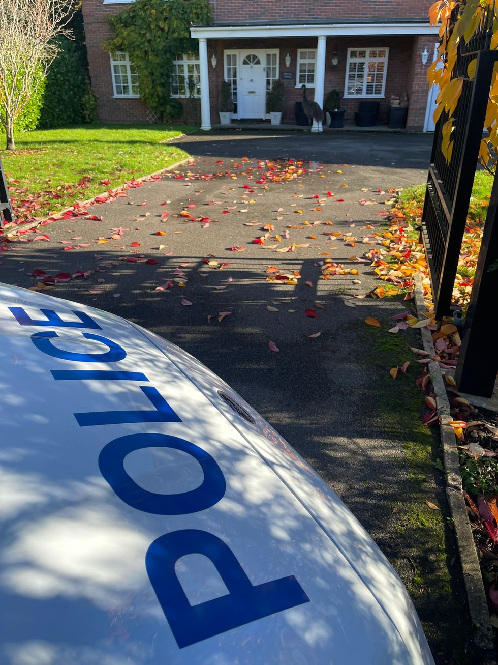 An emu standing by the doorway of a property in Maidstone after it escaped from its residential home