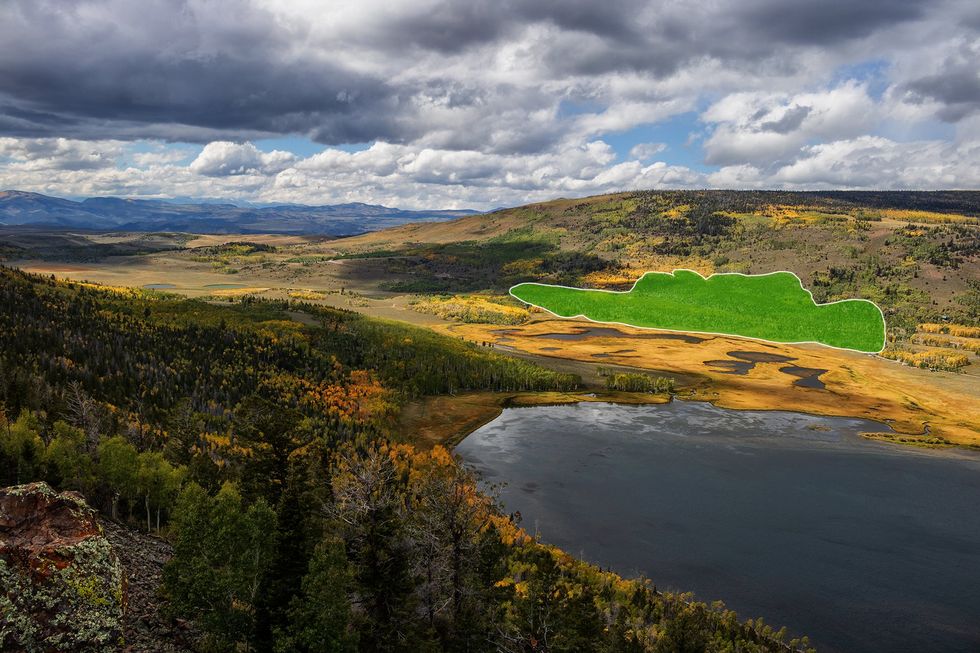 An outline of where the Pando tree sits in Fish Lake, Utah