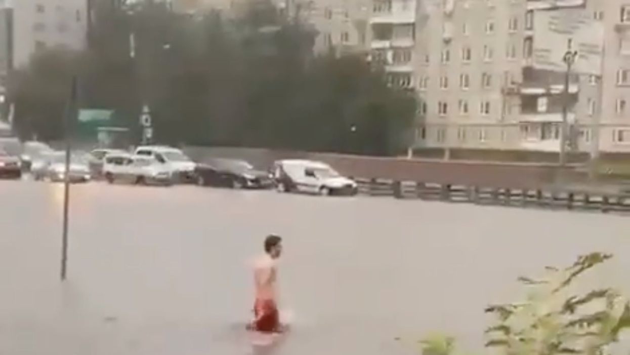 <p>An unconventional afternoon swim... In floodwaters</p>