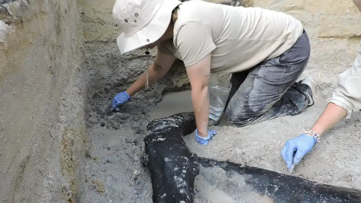 Scientists stunned by 'extraordinary' ancient wooden structure discovery