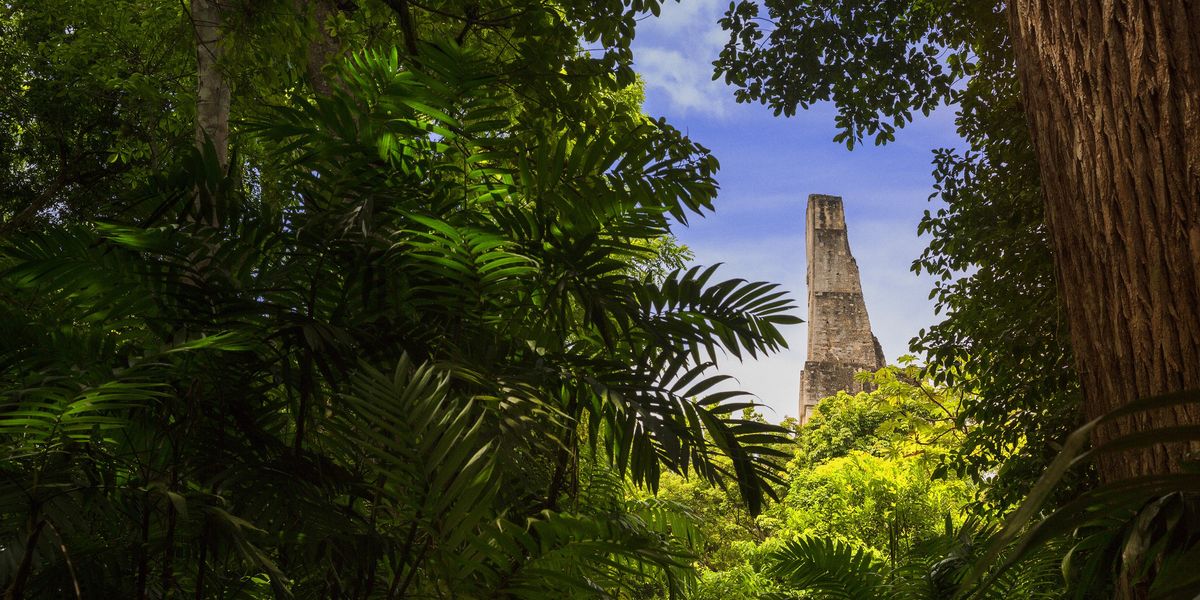 Antigua ciudad maya descubierta en una remota jungla que antes era “imposible” de encontrar Antigua ciudad maya descubierta en una remota jungla que antes era “imposible” de encontrar