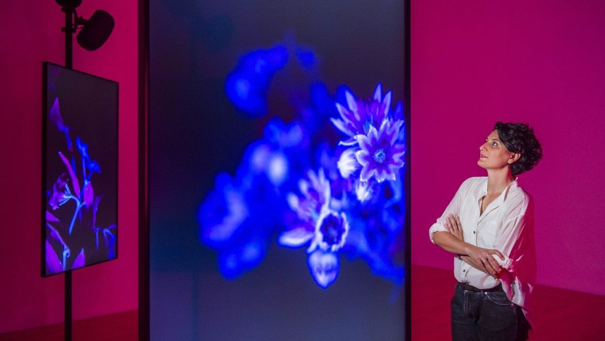 Angelica Mesiti with her Over the Air and Underground installation in the gallery (Neil Hanna/PA)