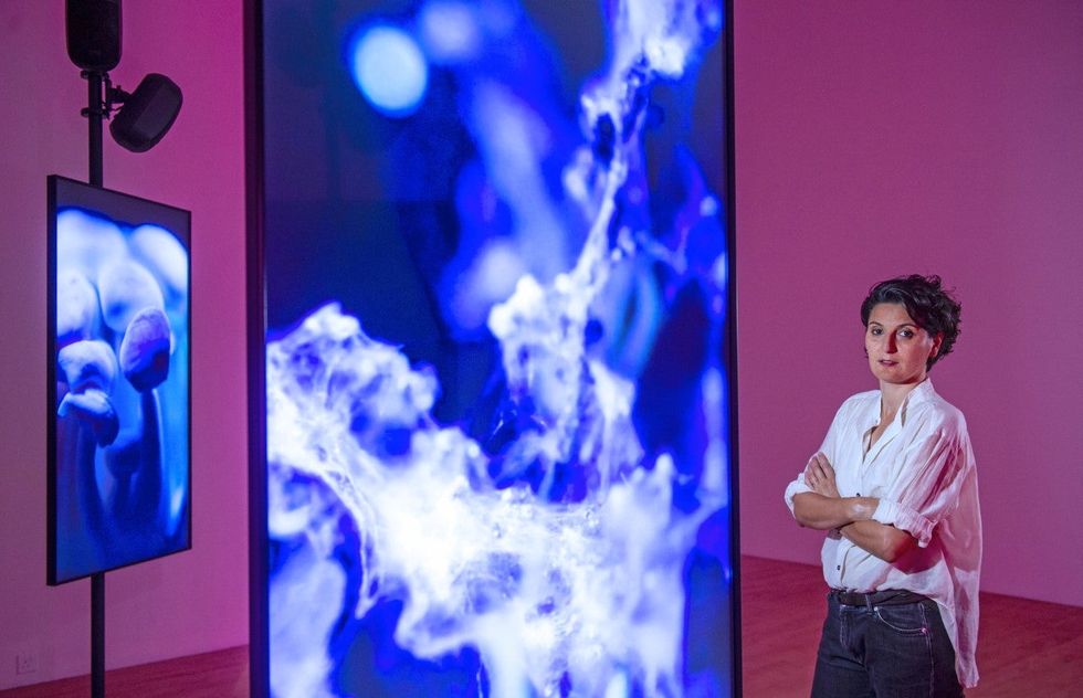 Angelica Mesiti with her Over the Air and Underground installation in the gallery (Neil Hanna/PA)