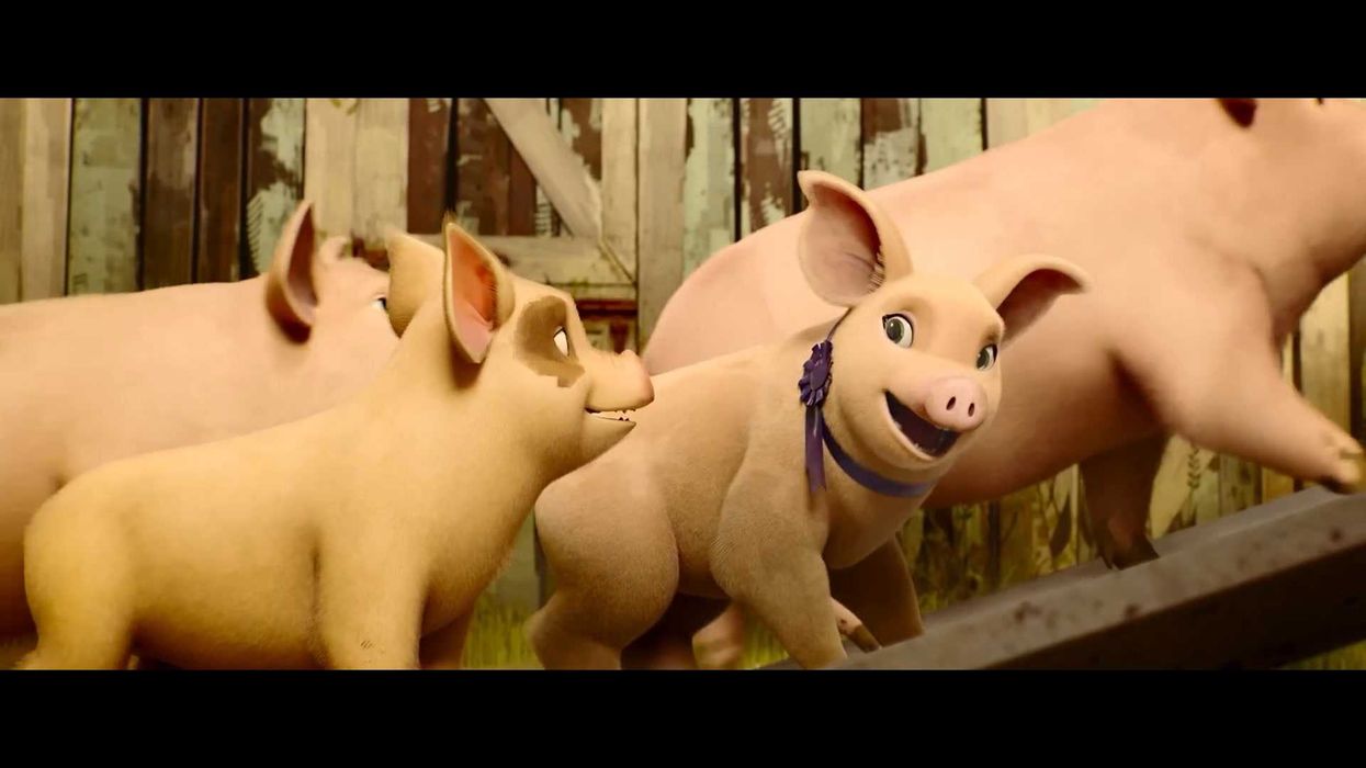 Bizarre Animal Farm animated film trailer leaves viewers ‘speechless’: ‘This absolutely floored me’