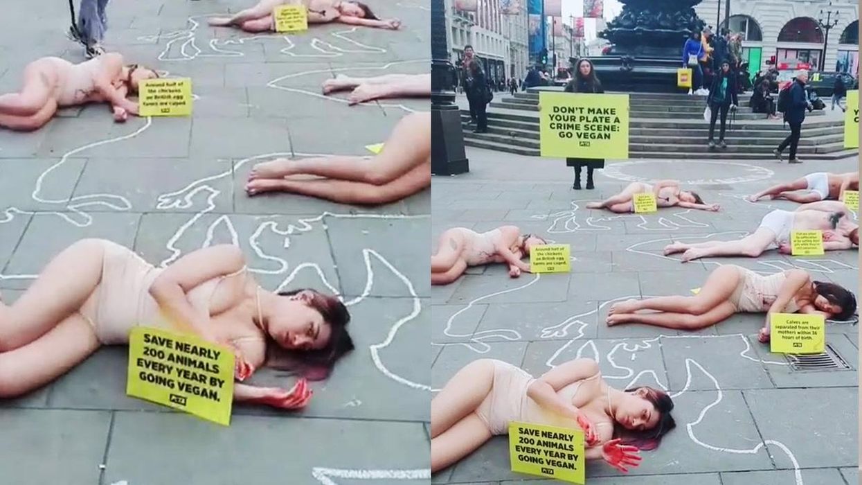 Men who eat meat should be banned from having sex, animal rights group claims