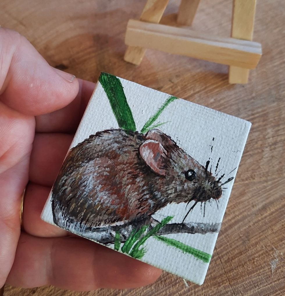 Anna Howard mice