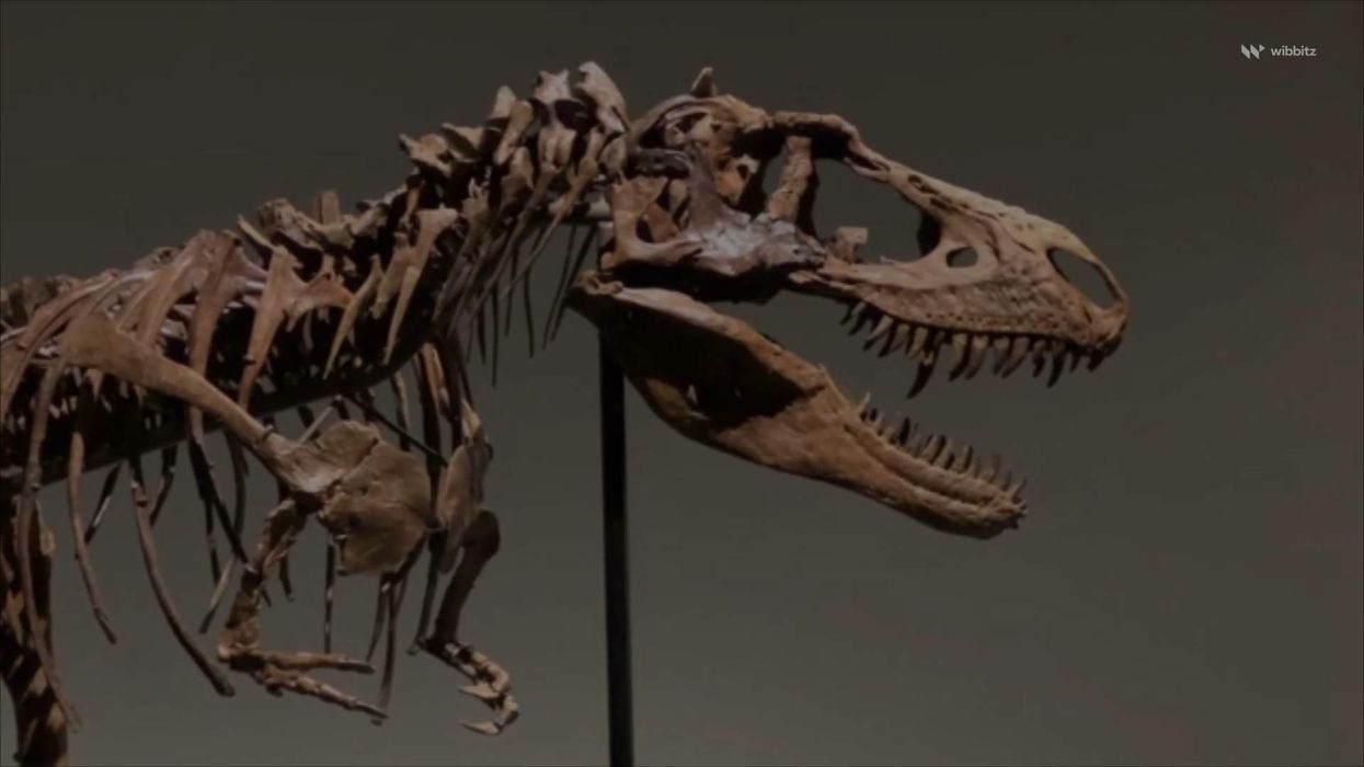 You can now find out where your city would have been 600 million years ago