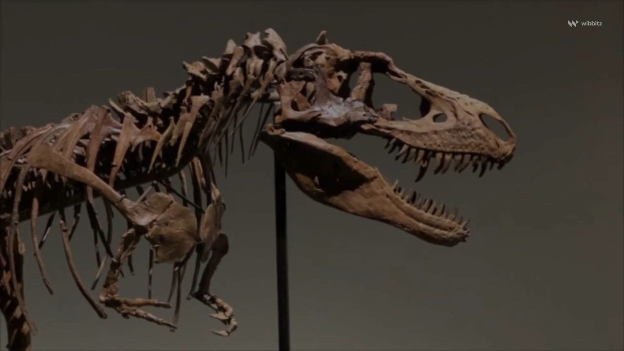 Conspiracy theory claims China has found new land full of Dinosaurs