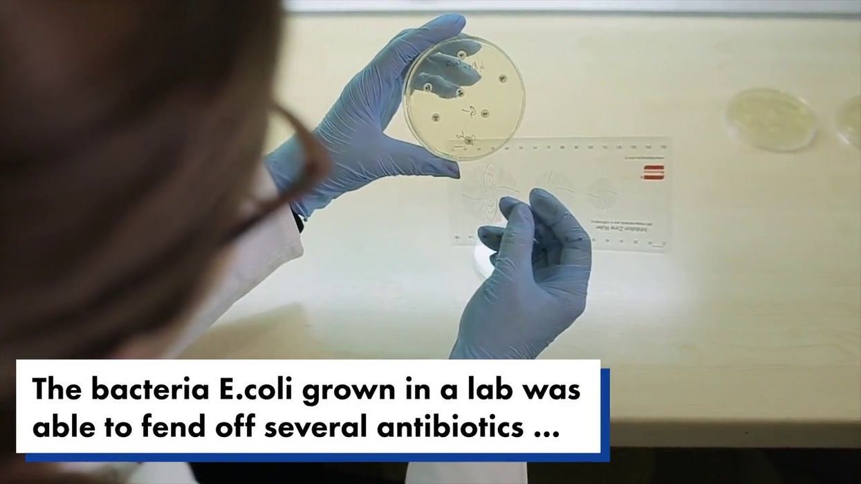 Triathlon ends in chaos after 57 swimmers fall ill with diarrhoea