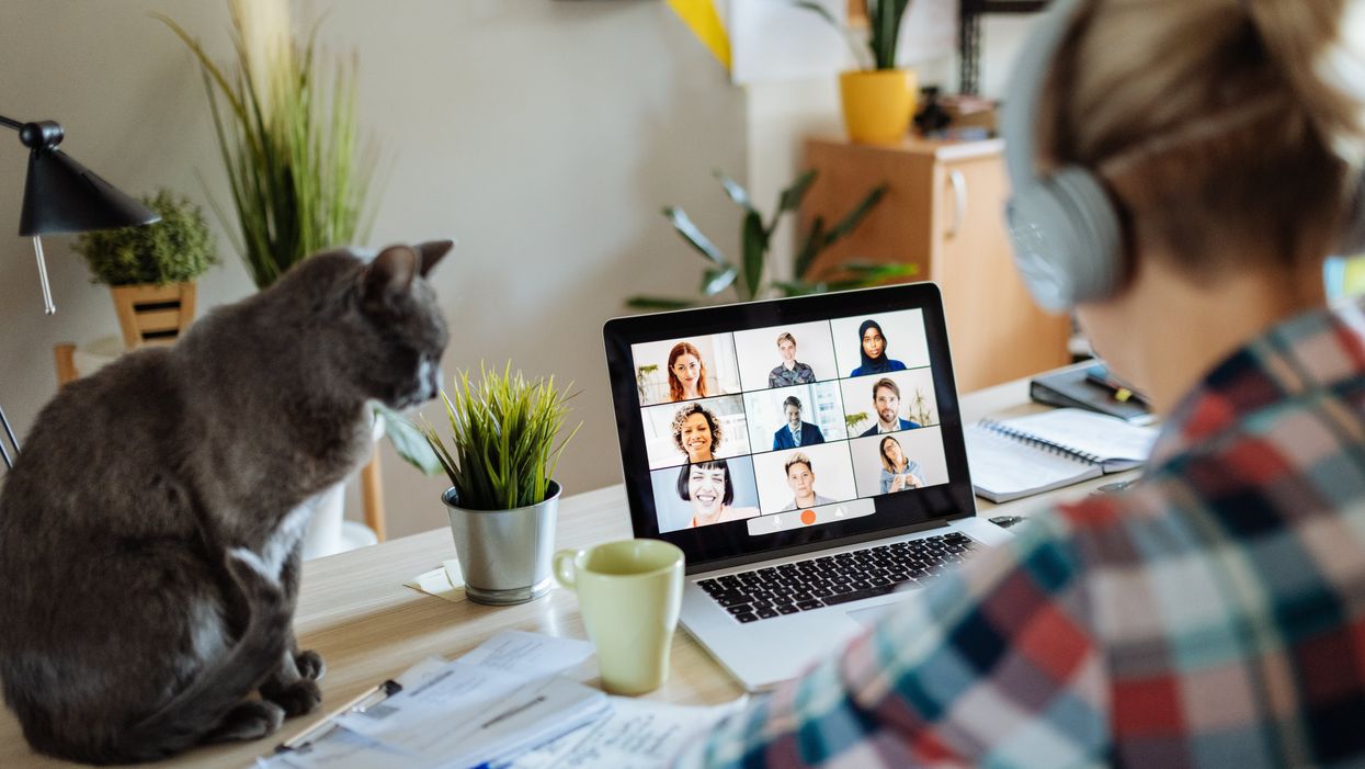 <p>Apparently, Americans really love working from home.</p>