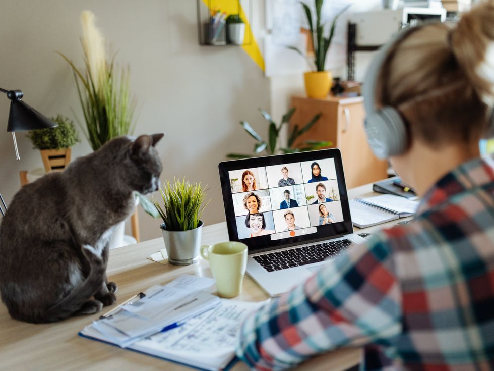 <p>Apparently, Americans really love working from home.</p>