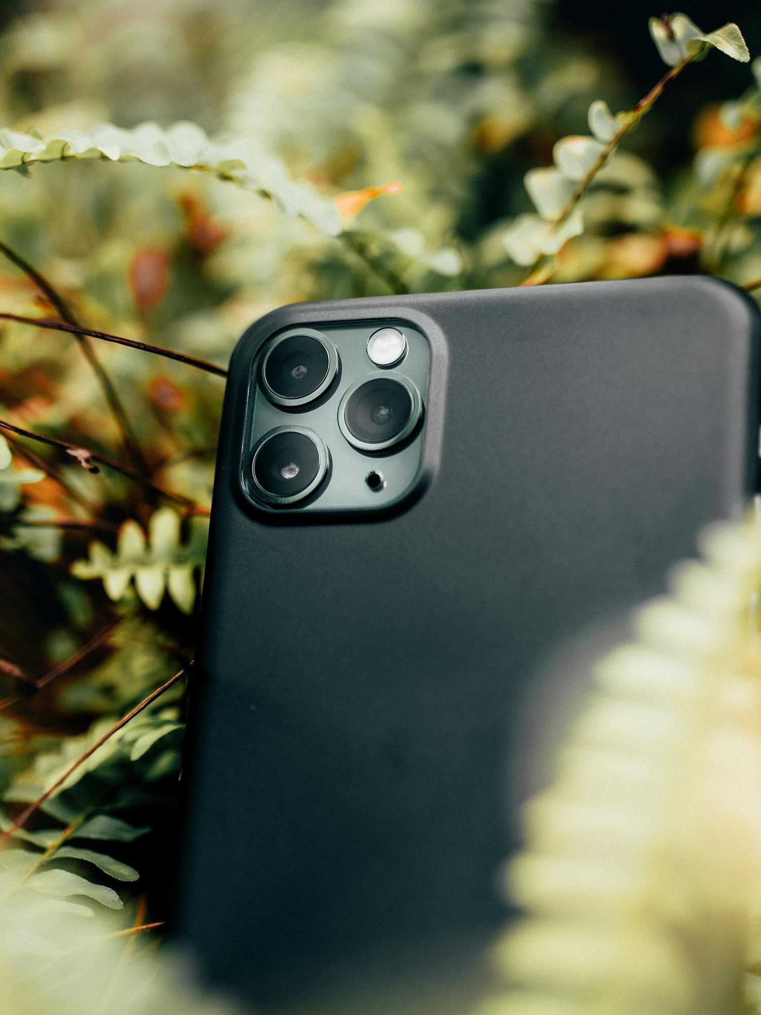 Apple have quietly added a little-known iPhone feature for music-lovers - and it’s a game-changer