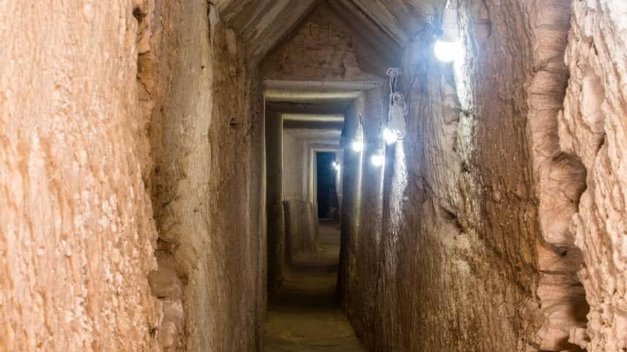 Archaeologists discover 'miracle' in ancient Egyptian tomb