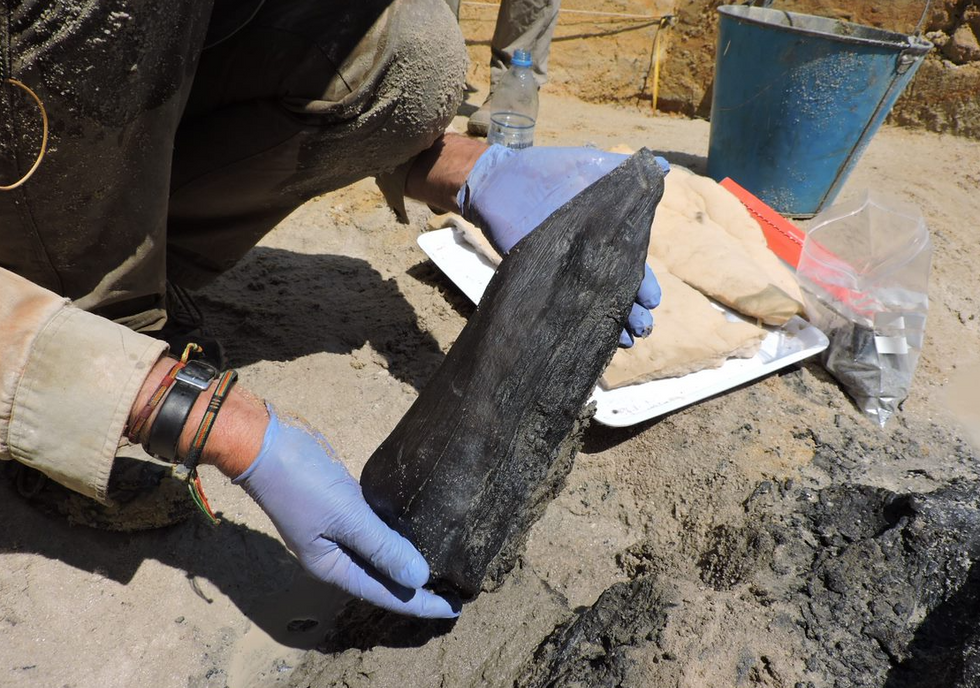 Proof of Stone Age humans building wooden structures uncovered by archaeologists
