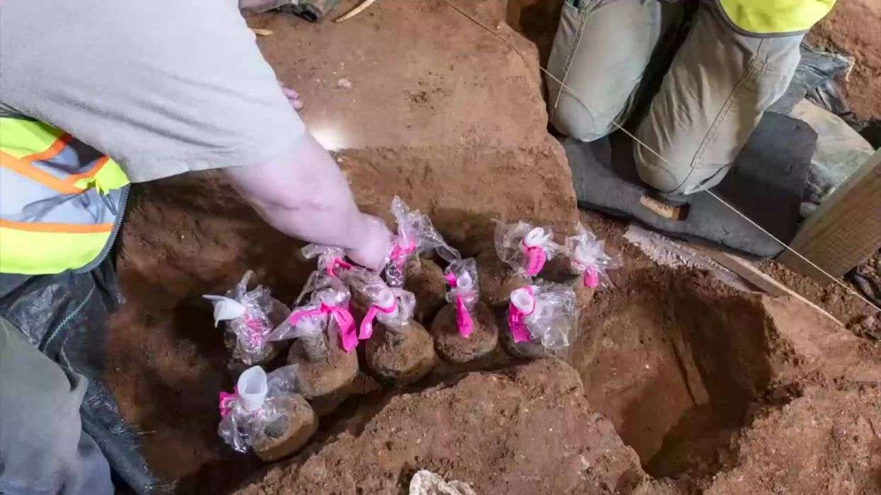 Scientists discover site of horrifying human and horse sacrifice
