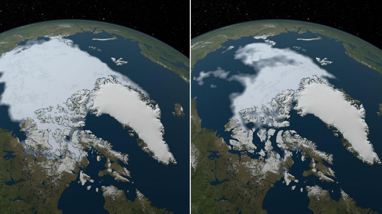Arctic sea ice in 1984 (L) and 2012 (R). Picture: