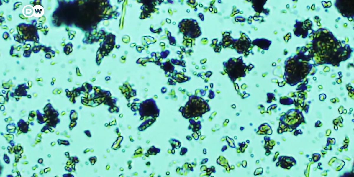 Scientists discover life living deep beneath the ocean floor
