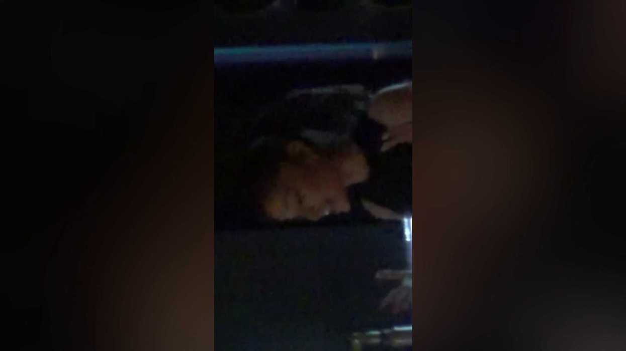 Ariana Grande already teased album title ‘Petal’ months before she announced it