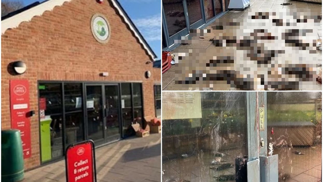 Why were dozens of dead animals dumped outside a village shop?