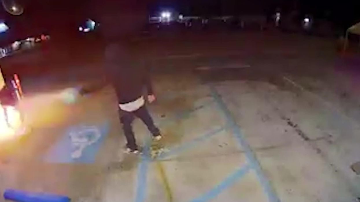 Arsonists attack immigration service, and accidentally set themselves on fire