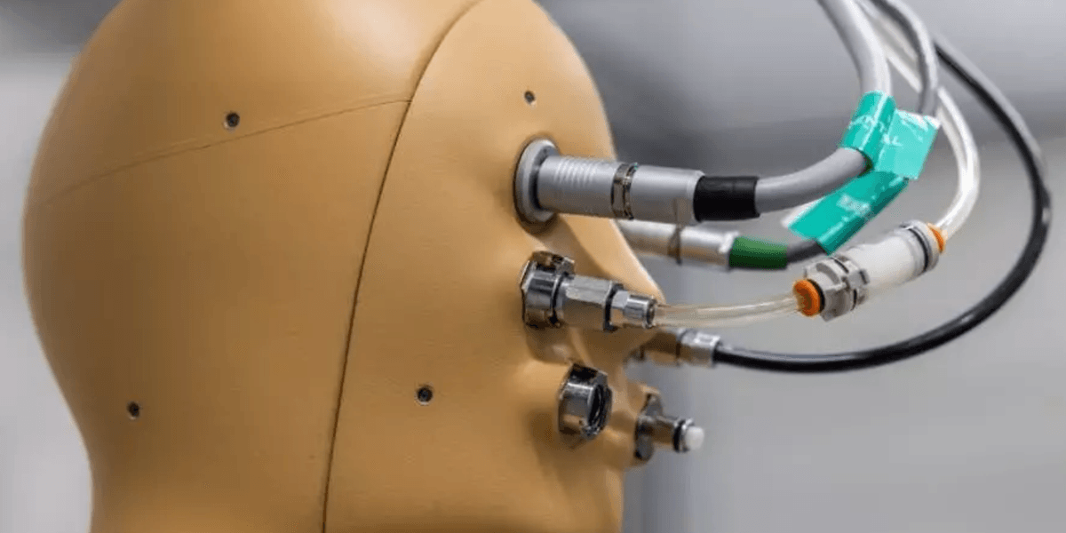 Scientists invent world's first ‘breathing, sweating, shivering’ robot ...
