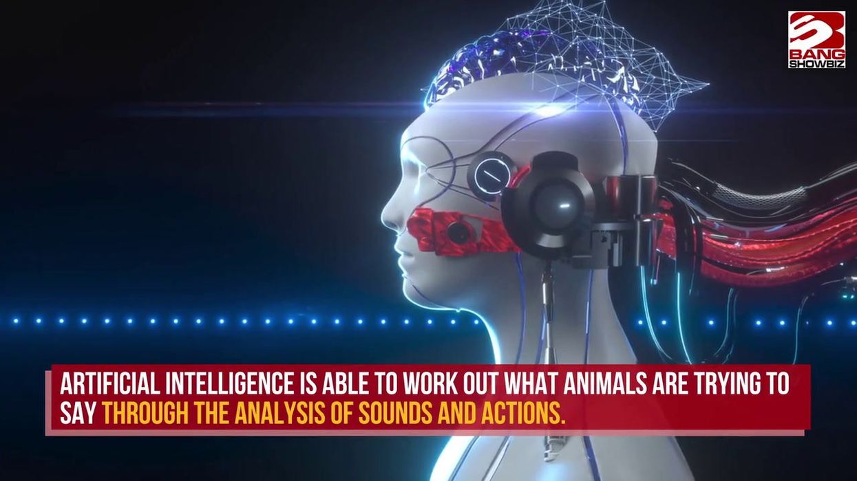 'Scary' new AI will tell you the perfect things to say during a date