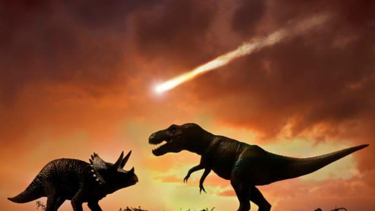 Scientists find dinosaur fossil from the day that asteroid hit the Earth and made them extinct
