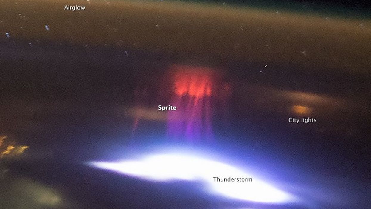 Astronaut captures eerie 'red jellyfish sprite' high above the Earth