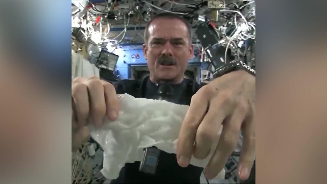 Video resurfaces of a towel being wrung out in space and it's still the coolest thing