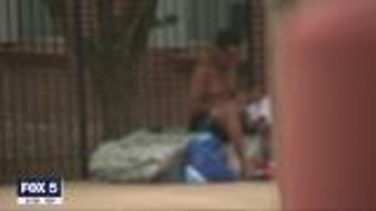 Polish military museum asks guests to stop having sex among the exhibits