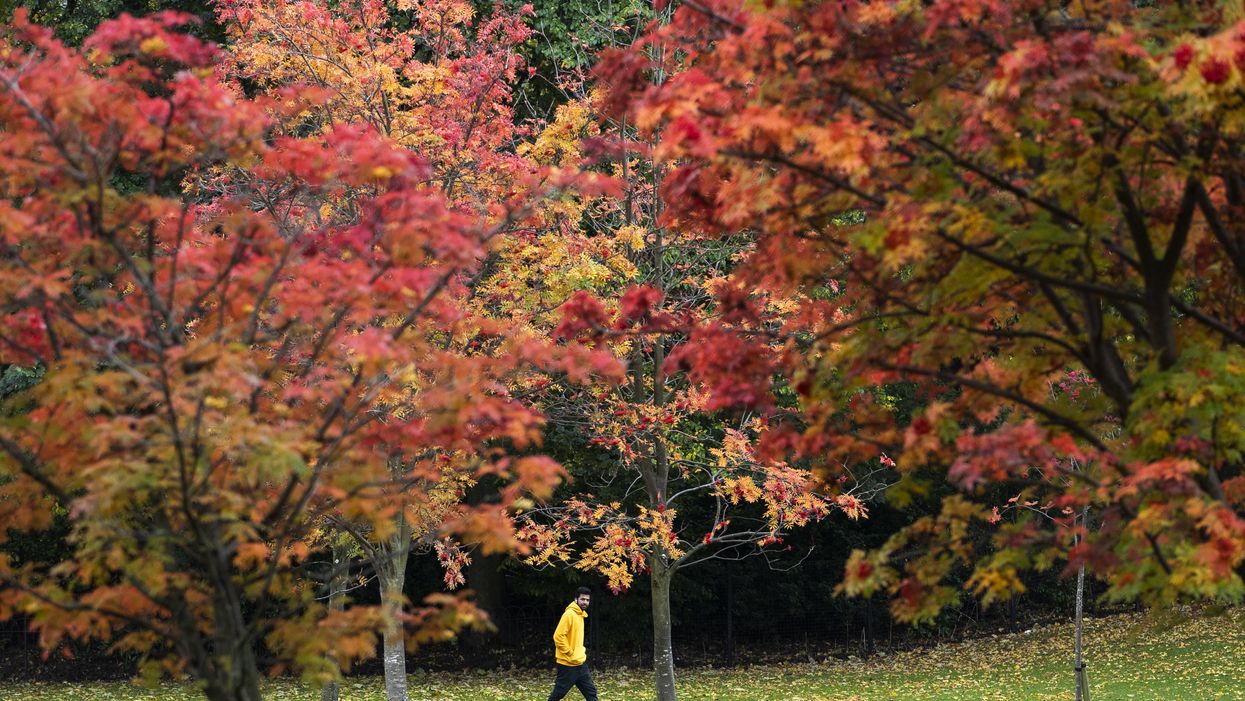 Autumn colour (Jane Barlow/PA)