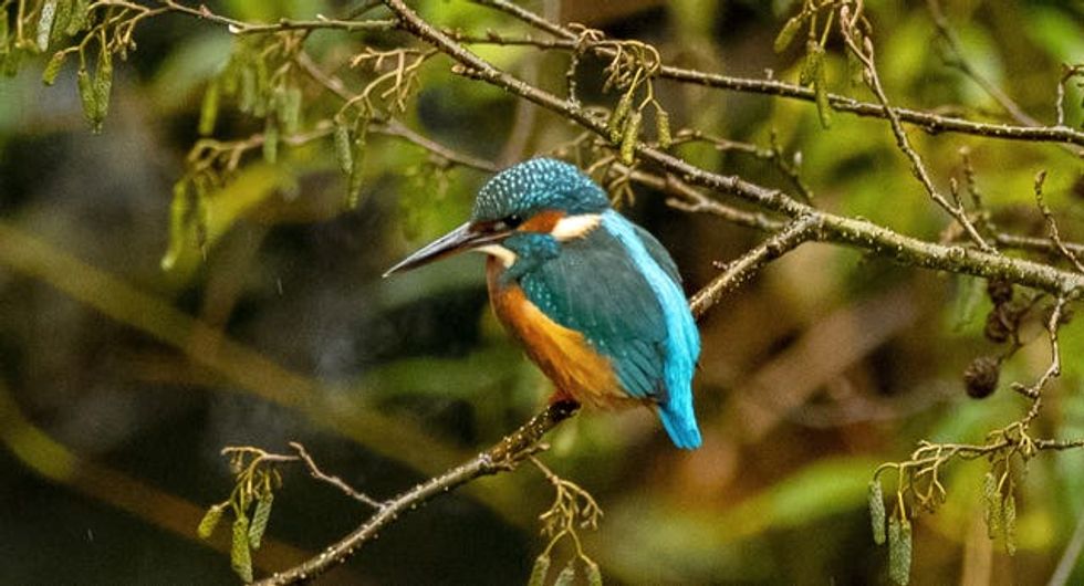 Autumn weather Nov 20th 2020