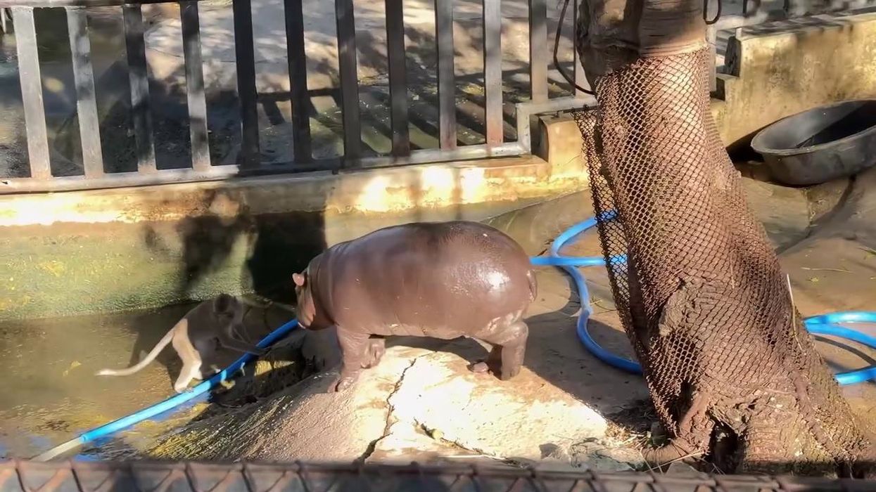 10 of the happiest news stories from 2024 to make you smile