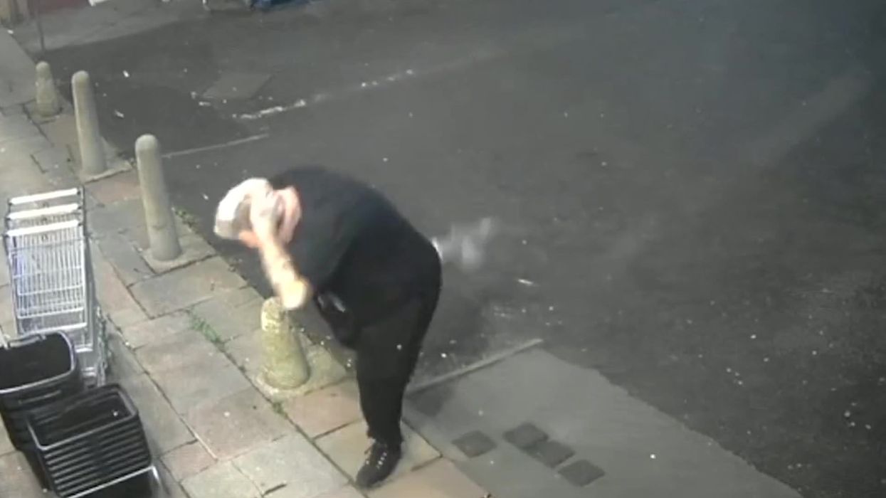 Footage of a pigeon leaves BBC Breakfast presenters in hysterics