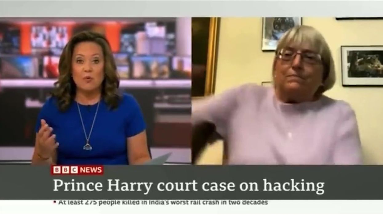 BBC News guest effortlessly shrugs off cat leaping across screen during live interview