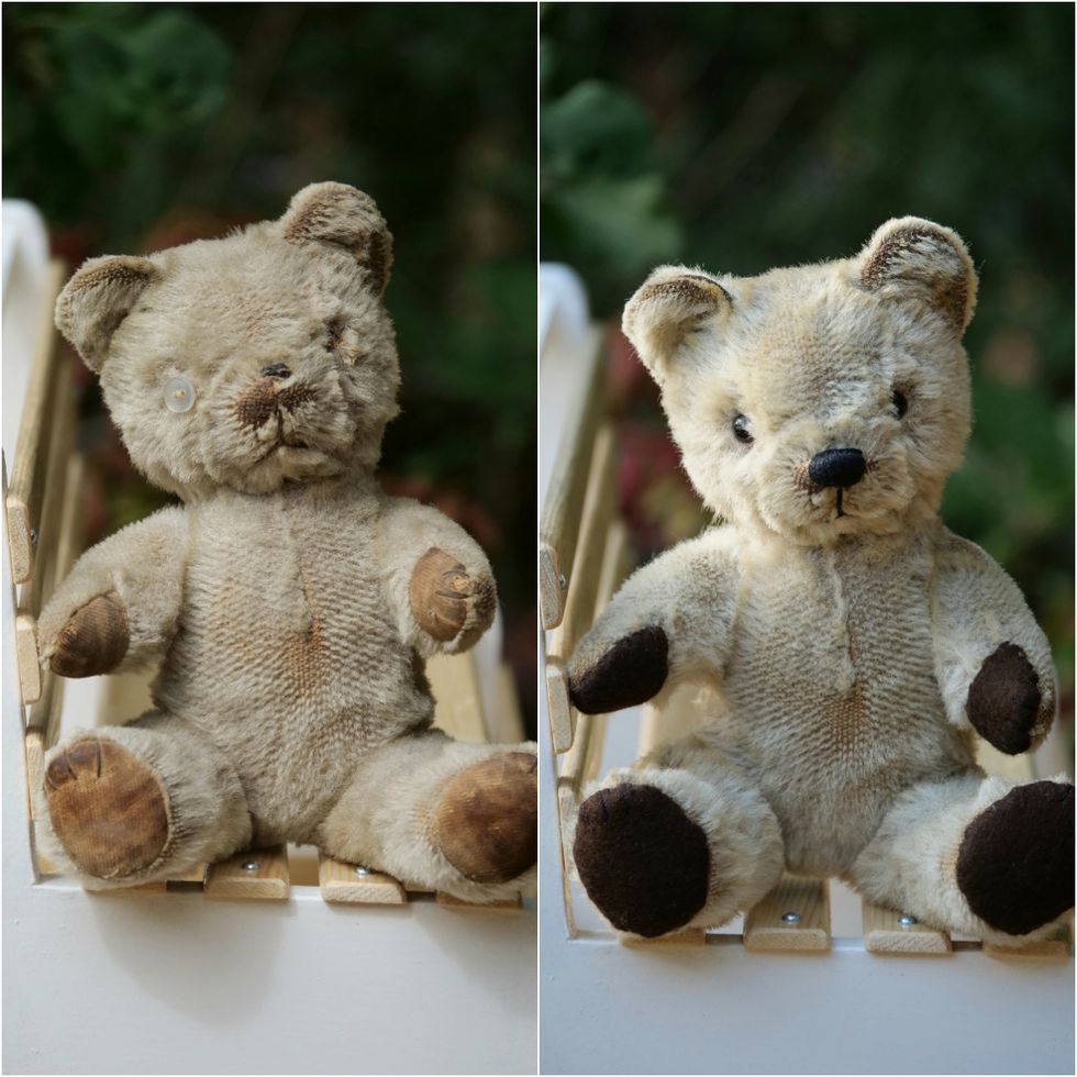 Bear before and after being fixed
