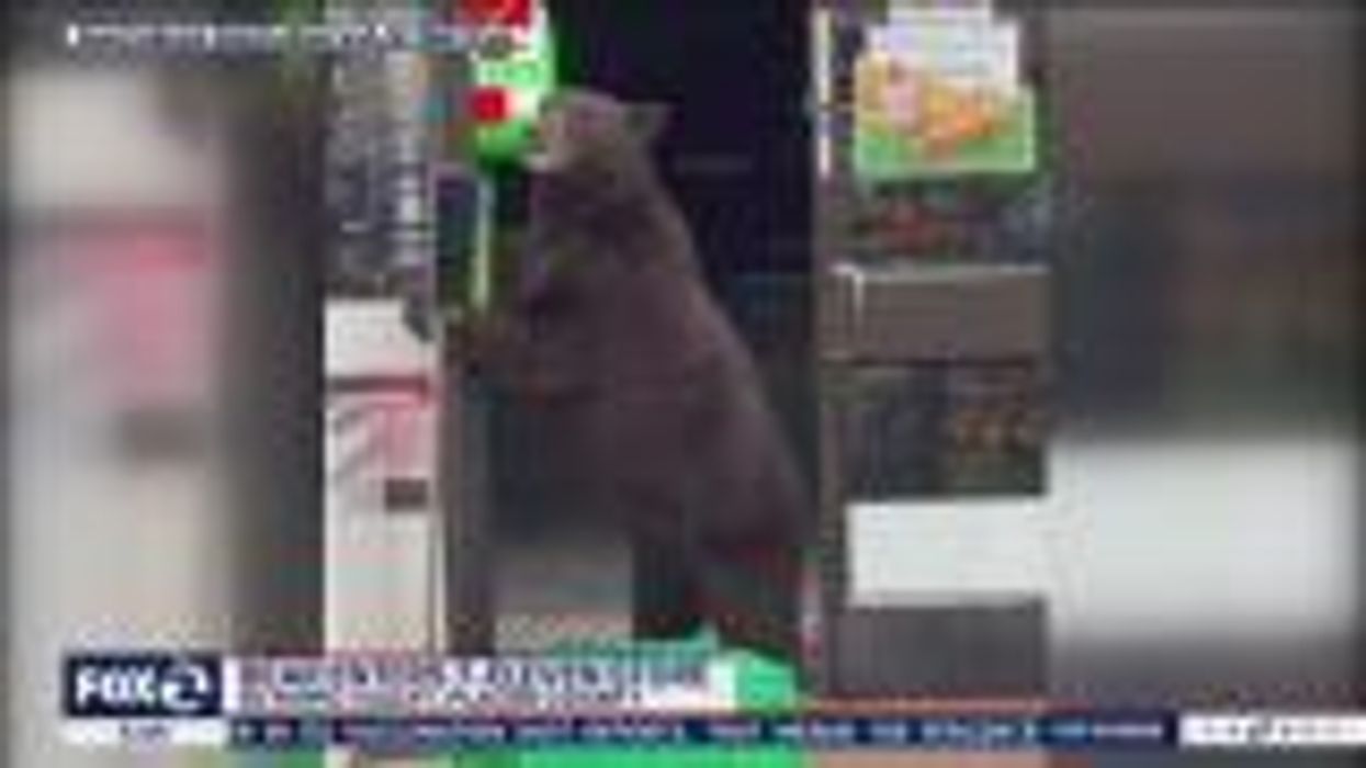 No, Gas prices at 7-Eleven do not cost $7.11