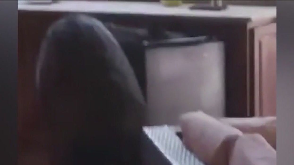 Thirsty wild bear breaks into garden bar to drink White Claws then leaves