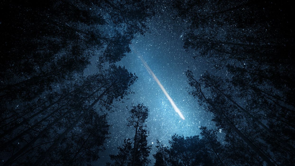 <p>Beautiful night sky, the Milky Way, meteor and the trees. Elements of this image furnished by NASA.</p>