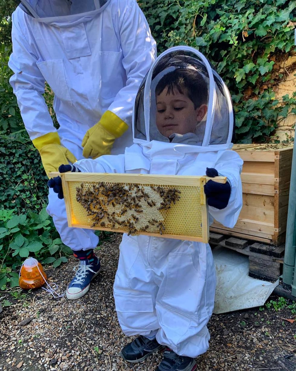 Bees & Refugees now has 36 hives placed across the UK (Bees & Refugees)