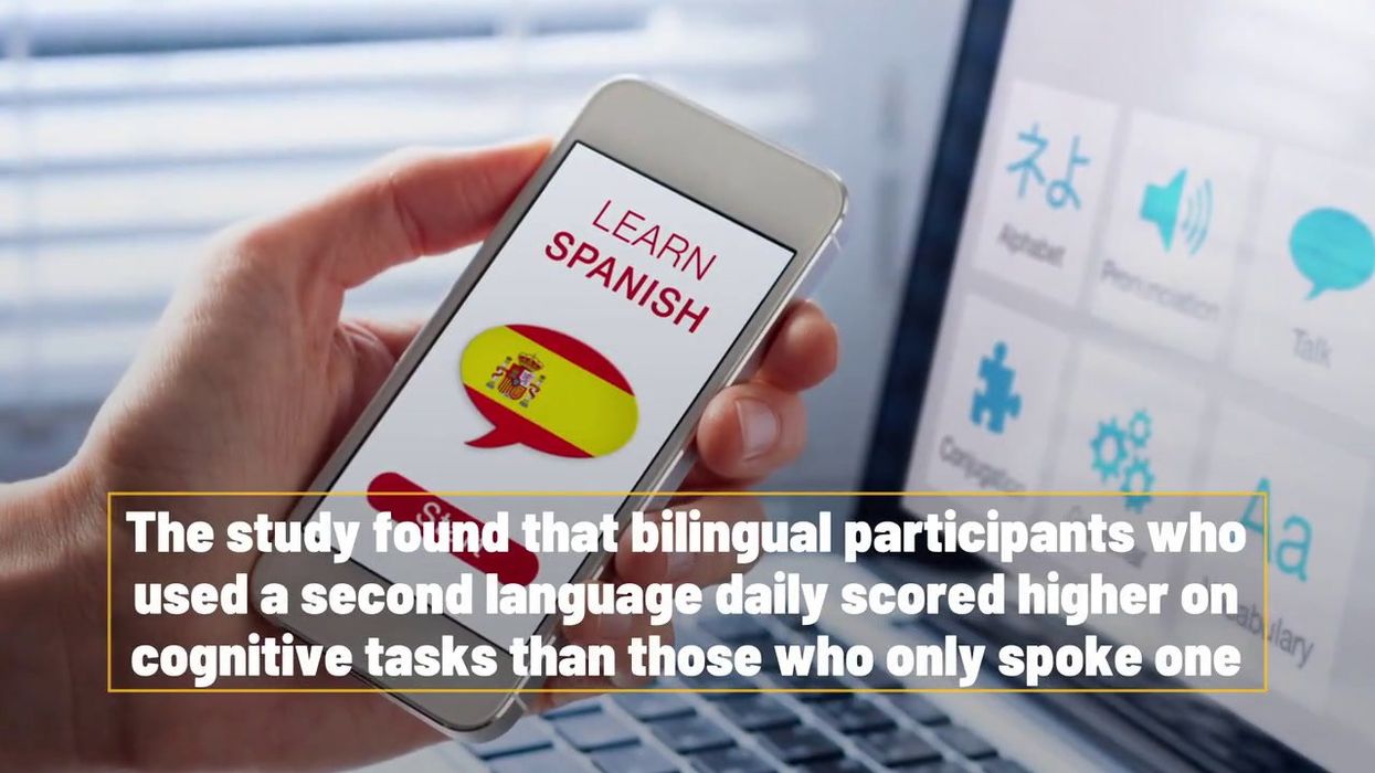 Study finds that regular internet usage can majorly prevent dementia