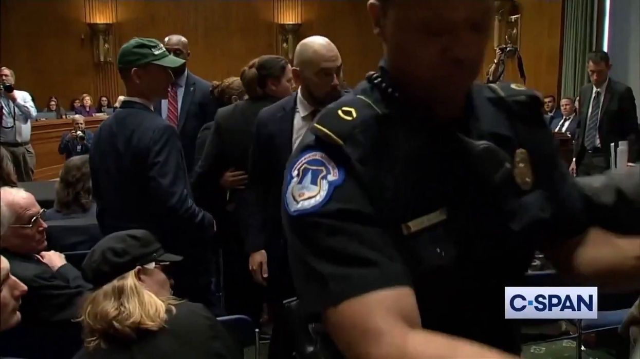 Ben and Jerry's co-founder arrested for protesting at US Senate