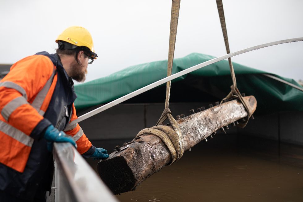 Ben Saunders from Wessex Archaeology supervising the Sanday Wreck timbers as they are placed in a freshwater tank to preserve them