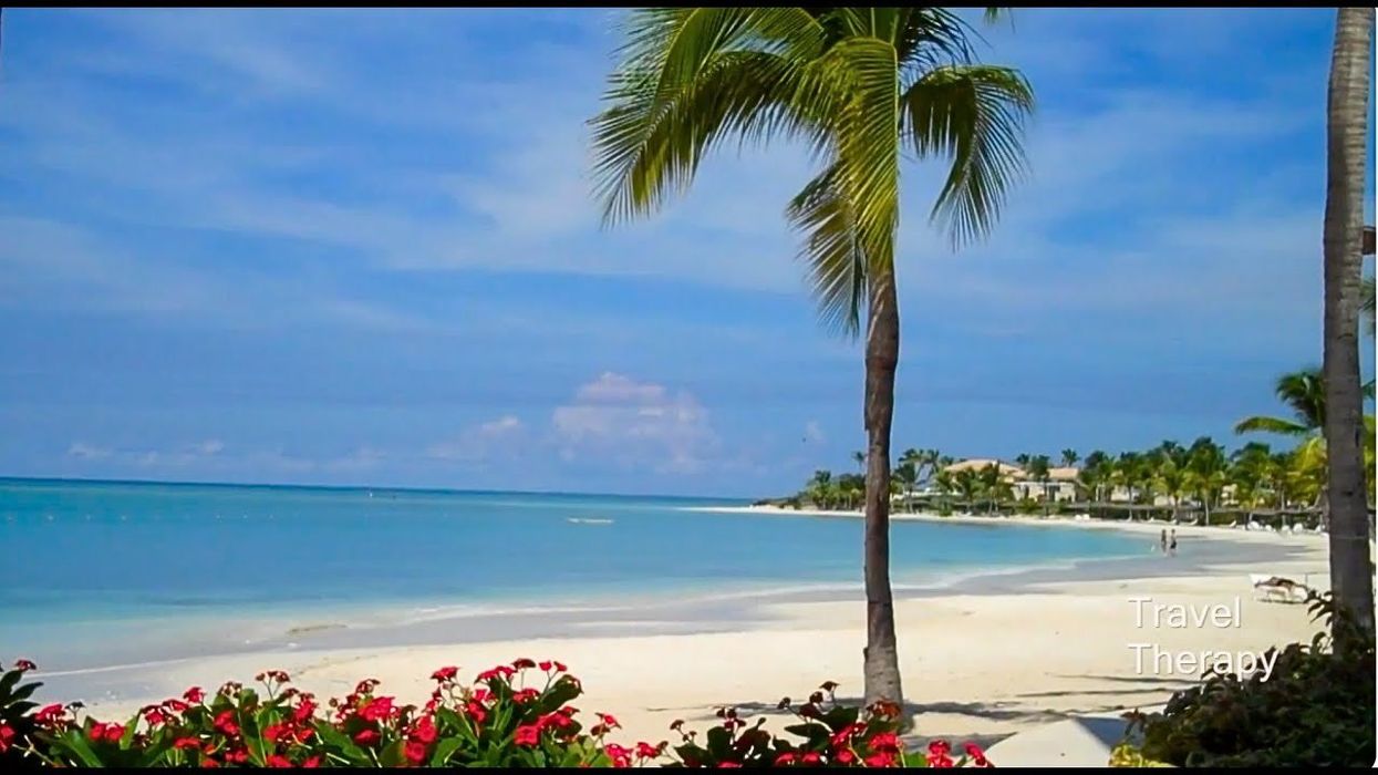 A couple's lie about being on honeymoon to get free upgrade creates awkward moment