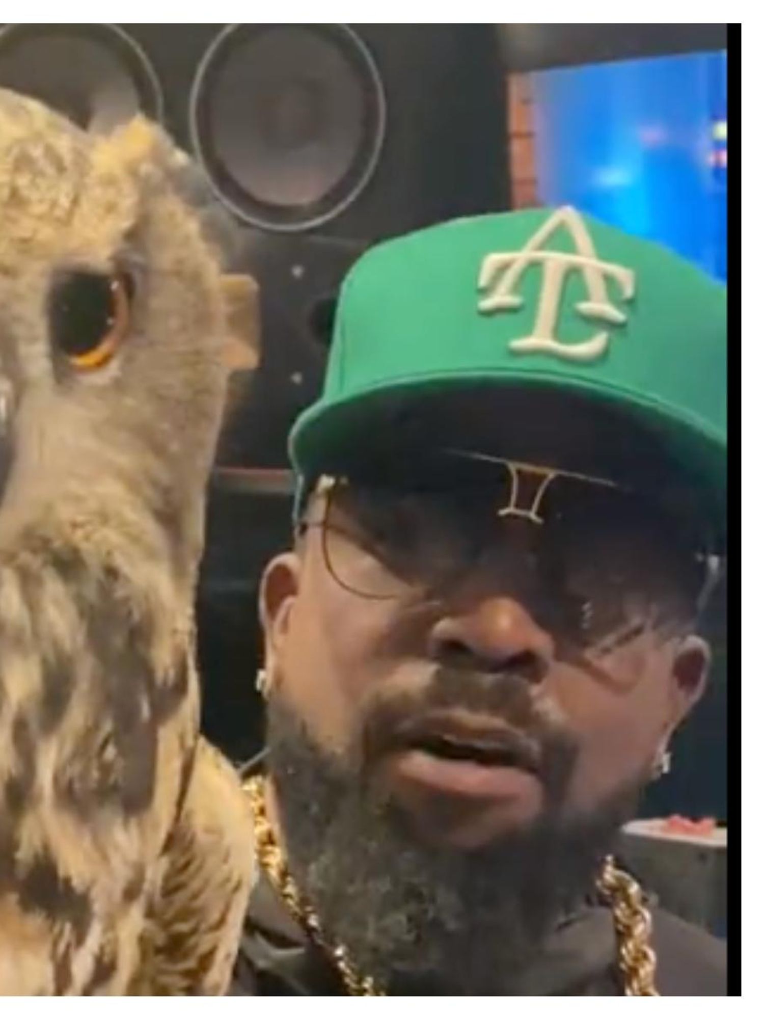 Big Boi brought pet owls to the music studio and fans are obsessed