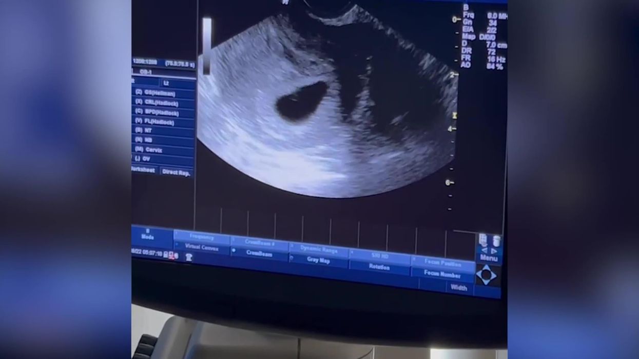 Trisha Paytas is subject of bizarre Queen Elizabeth II theory