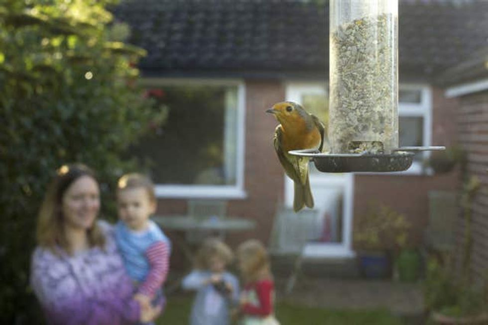 Big Garden Birdwatch 2021