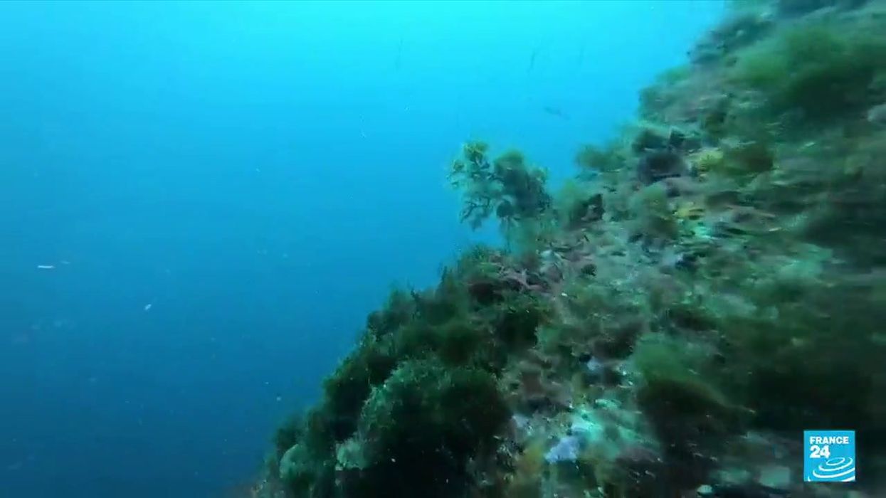 Mysterious massive blue hole discovered in ocean that could contain Earth's secrets