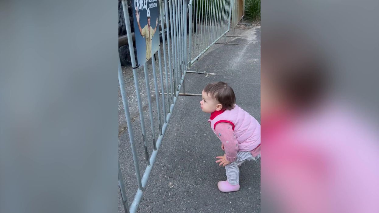 Bindi Irwin's daughter recognises 'Grandpa Crocodile' Steve Irwin