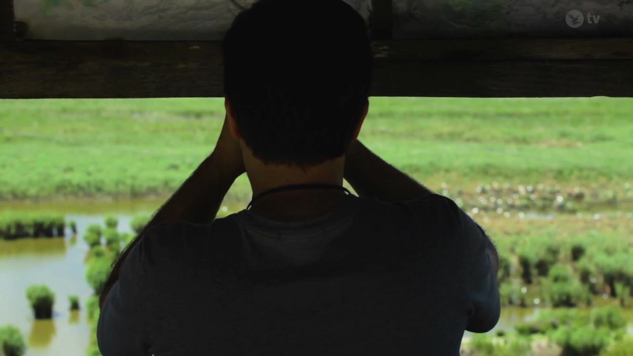 Scientists think the first bird extinction in mainland Europe has happened